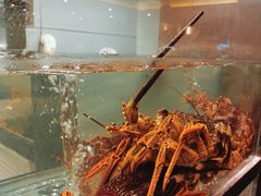 -甄御•海鲜新青岛菜(麦岛店)