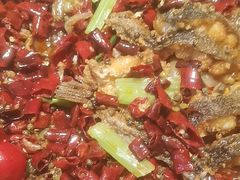 -老板恋上鱼(恒隆广场店)