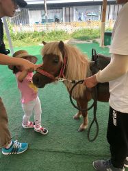 -萌宠亲子动物乐园(槐房万达店)