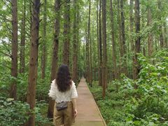 -同里国家湿地公园