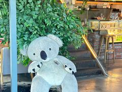 -了不起的考拉咖啡店(高新店)