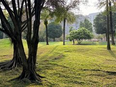 -南宁南湖公园