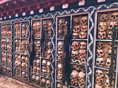 -比如骷髅墙景区