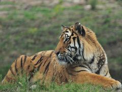 -西安秦岭野生动物园