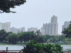 -荔湾湖公园