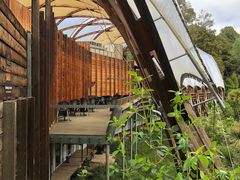 -怀托摩萤火虫洞