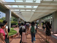 -香港大学