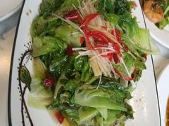 白灼罗马生菜-老苏扬饭店