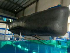 -上海海洋大学鱼文化博物馆(军工路校区)