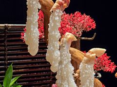 -蟹犇•帝王蟹雪蟹(陆家嘴店)