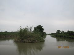 -大湾区中央湿地公园
