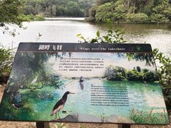-深圳仙湖植物园