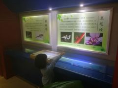 -上海昆虫博物馆