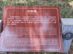 -仓颉庙