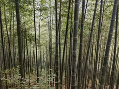 -长兴八都岕景区