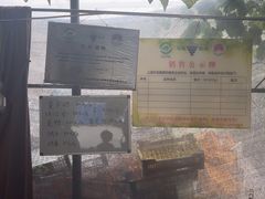 -马陆小张葡萄园农家乐