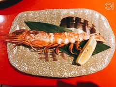 -初花·日本料理