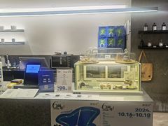 大堂-野鸽子咖啡(中航店)