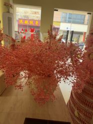 -Venus·奈弗里SPA美肤中心