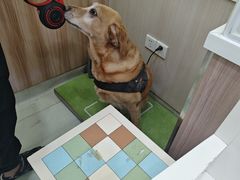 -瑞鹏宠物医院·宠保定点·心脏科·内科(御桥分院)