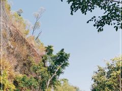 -板樟山森林公园