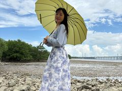 -宝安西湾红树林湿地公园