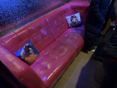 -GAGA主题量贩式KTV平价店(工大店)