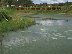 -北纬44度·金珠花海休闲农业旅游景区