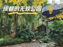 -成都市活水公园