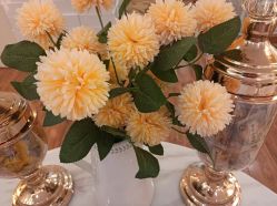 -茜尔维亚修身连锁(八佰伴店)