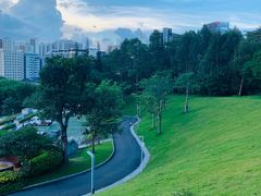 -白石龙音乐公园