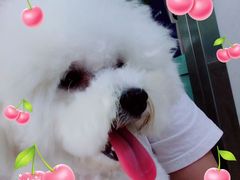 -宠福鑫康馨动物医院·骨科·眼科