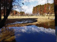 -捞渔河湿地公园