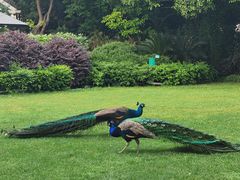 -J Create城市露营咖啡·简餐·宠物(上海动物园店)