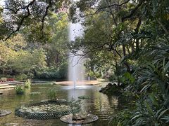 -九龙公园
