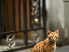 -安福路
