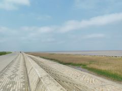 -南汇嘴观海公园