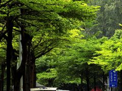 -广东工业大学(大学城校区)