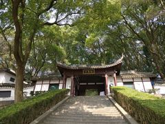 -上海佘山国家森林公园天马山园