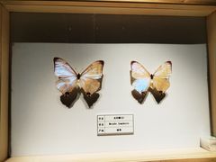 -四川宋瓷博物馆