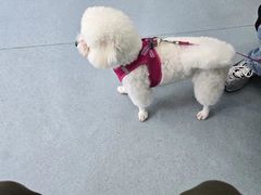 -佳怡动物医院·平价24小时·猫专科骨外科