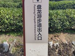 -龙井村