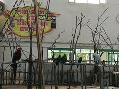 -哈尔滨北方森林动物园