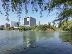 -天鹅湖体育公园