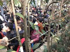 -韶山毛泽东同志故居