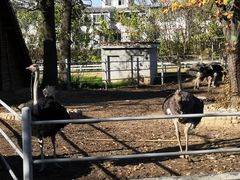 -西安秦岭野生动物园