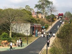 -东莞植物园