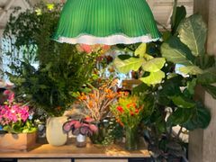 -春暖花开(西溪店)