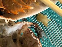 -大螃蟹海鲜餐厅