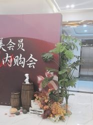 -美瑞莎创美医疗美容